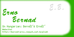 erno bernad business card